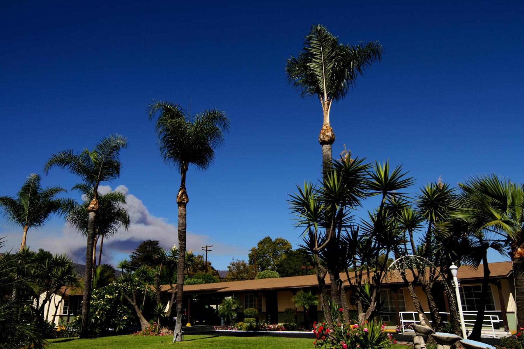 Palm Tropics Motel Glendora Exterior photo