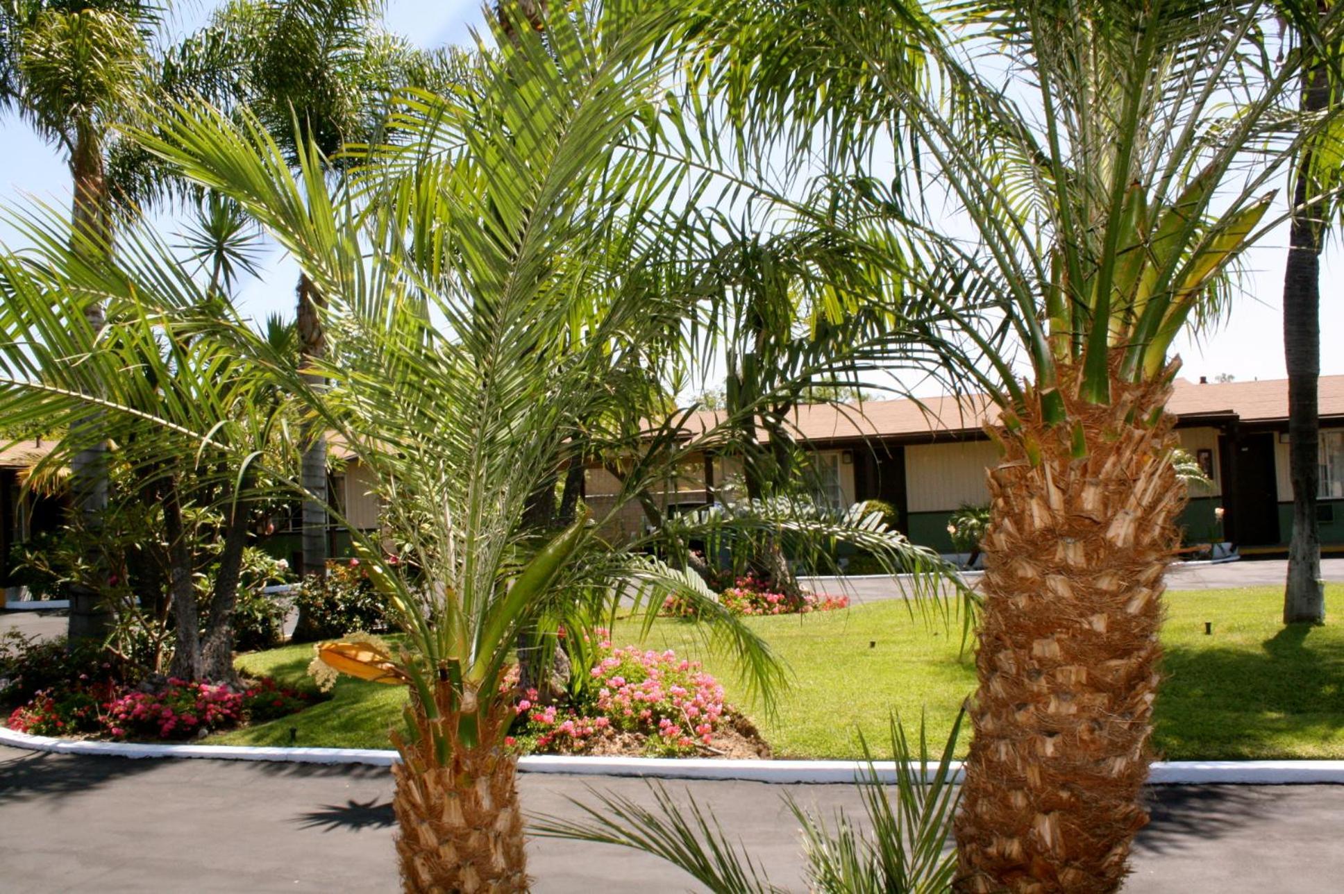 Palm Tropics Motel Glendora Exterior photo